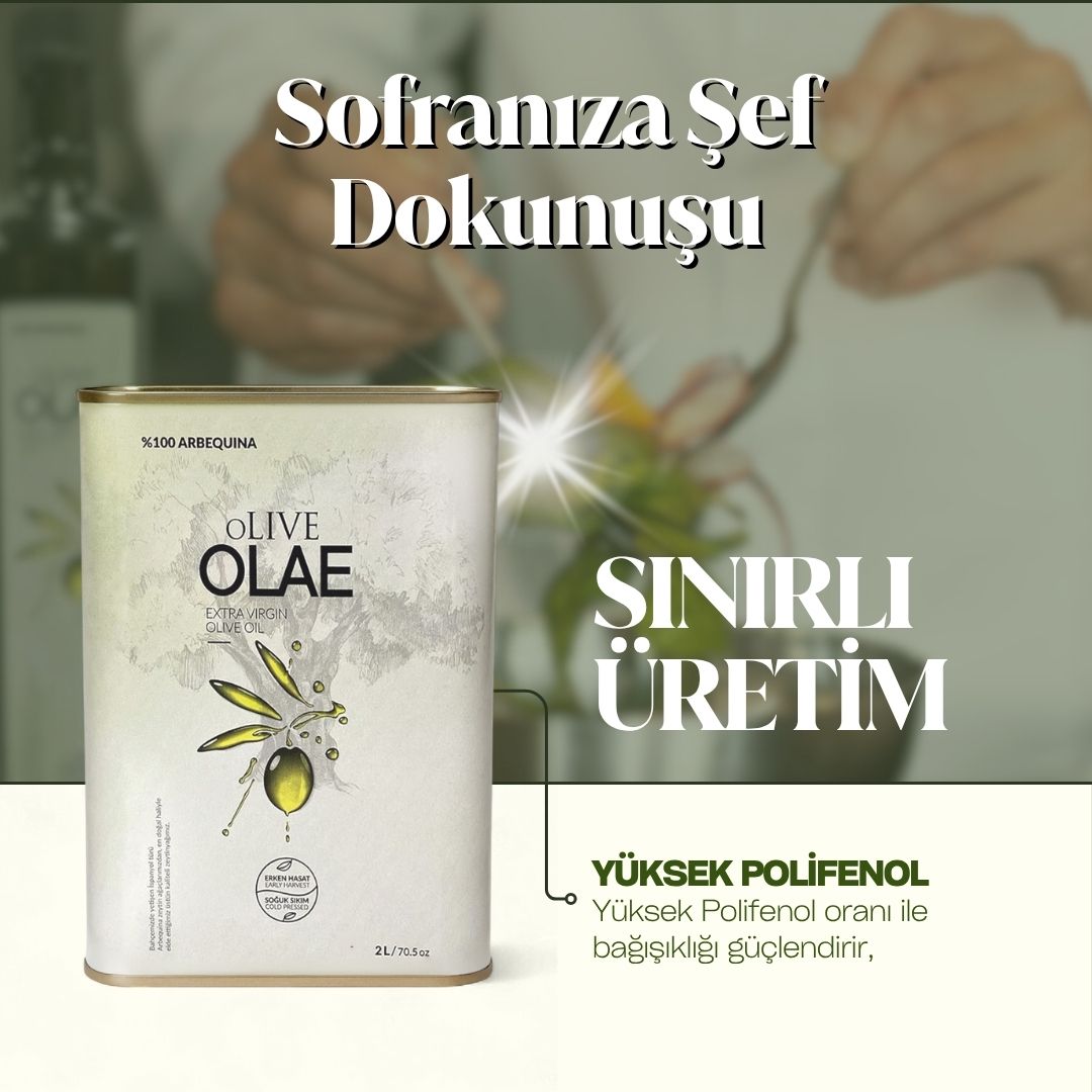 Erken Hasat & Soğuk Sıkım Naturel Sızma Zeytinyağı - 2000 ML Teneke