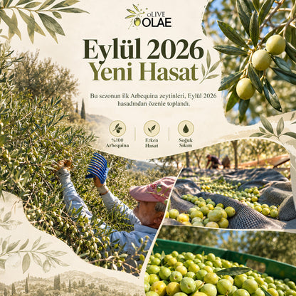 Erken Hasat & Soğuk Sıkım Naturel Sızma Zeytinyağı - 5000 ML Teneke